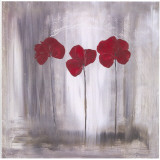 3 Coquelicots Fond Gris