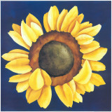 Huge Sunflower I