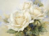 Bouquet Of White Roses
