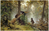 Moring In A Pine Wood