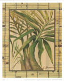 Tropical Plant IV