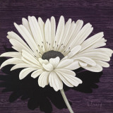 Marguerite I