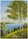 Birches At The Lake II