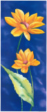 Amber Flowers I