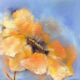 Bright Anemone II