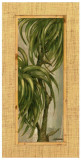 Tropical Leaf II