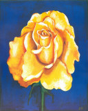 Great Golden Rose