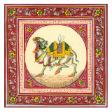 Tibetan Camel