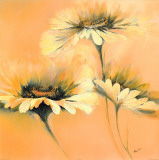 Apricot Summer I