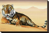 Tiger in Sand