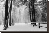 Winter Country Lane  Michigan