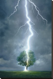 Lightning Striking Tree