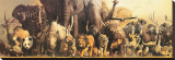 Noah's Ark