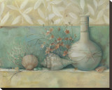 Tuscan Shells II