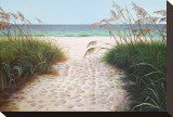 Beach Access