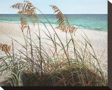 Sea Oats