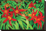 Just Lilies