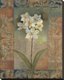 Orchids Tapestry