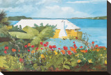 Flower Garden and Bungalow  Bermuda  c1899