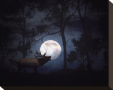 All is Calm  All is Bright