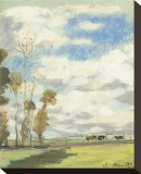 Three Cows in a Pasture