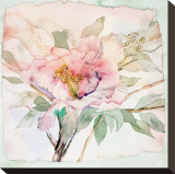 Peony