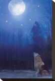 Lone Wolf