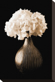 Hydrangeas in A Vase