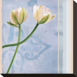 Tulip and Blue Tapestry II