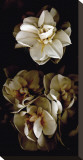 White Flowers Delight II