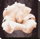 Lisianthus