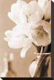 Tulips in Sepia