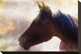 Arabian Mist
