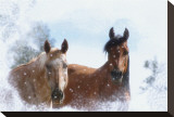 Seasons Greetings
