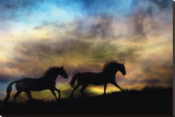 Spirit