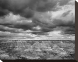 Grand Canyon Powell Point Black and White I