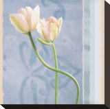 Tulip and Blue Tapestry I