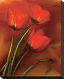 Tulip Fiesta in Red and Yellow II