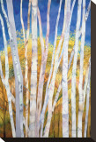 Serene White Birches