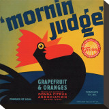 Mornin Judge Grapefruit and Oranges