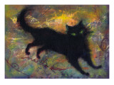Lovely Black Cat