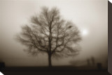 Lone Tree Sepia