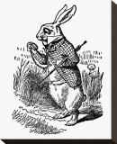 Alice's Adventure's in Wonderland