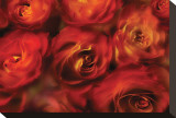 Roses Are Red