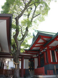 Shrine 4