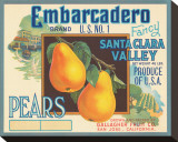 Embarcadero Brand Fancy Pears  Santa Clara Valley  US No 1