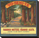 Yo-Se-Mite Oranges