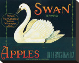 Swan Brand Apples
