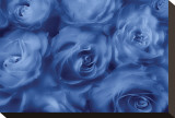 Roses Are Blue