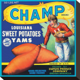 Champ Brand Louisiana Sweet Potatoes  Yams